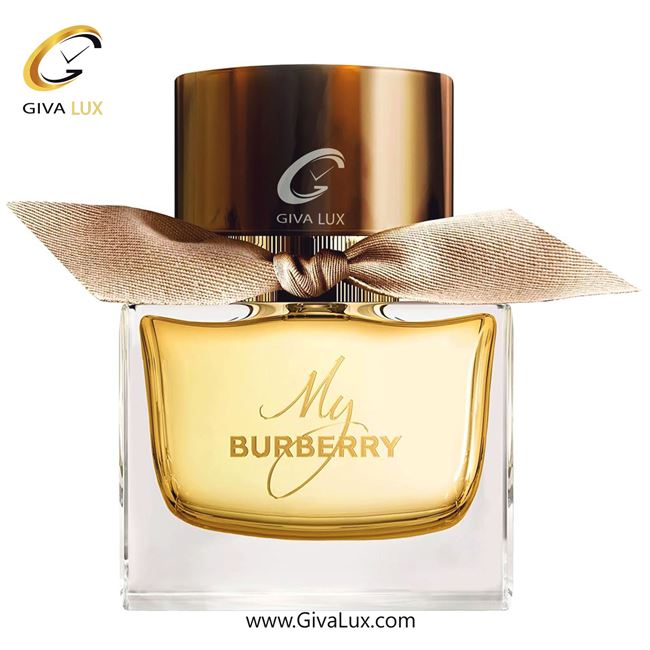   Burberry My Burberry.jpg